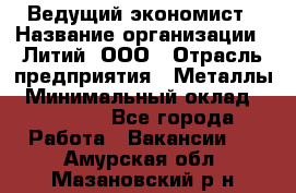 Ведущий экономист › Название организации ­ Литий, ООО › Отрасль предприятия ­ Металлы › Минимальный оклад ­ 24 000 - Все города Работа » Вакансии   . Амурская обл.,Мазановский р-н